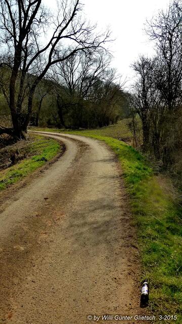 Von dort, wo die Bierflasche liegt, bis zum Ende der Hecke rechts, fand ich den Müll des nächsten Bildes.