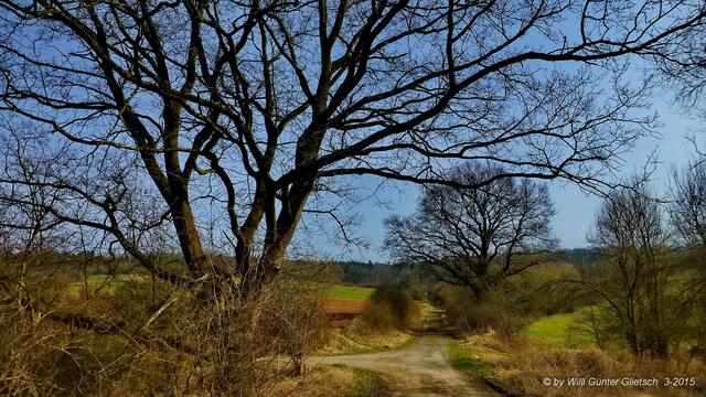 Diese kleine Kreuzung war mit Papiertüchern, Zigarettenschachtel, Feuerzeug usw. verschmutzt. (siehe die nächsten Bilder).
