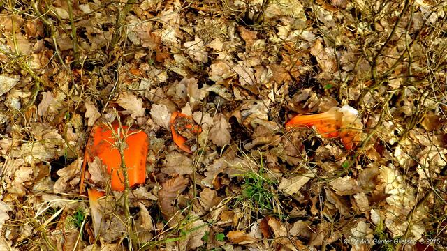 .. die aber schnell wieder zerstreut wird, wie man auf den nächsten Fotos sehen kann.