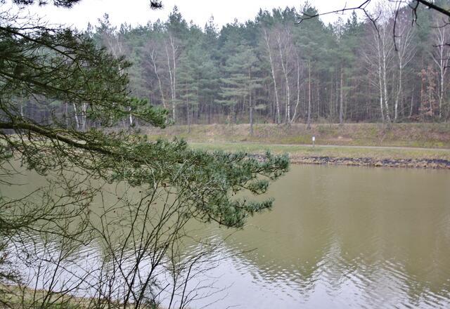Blick auf den Elbe-Seitenkanal