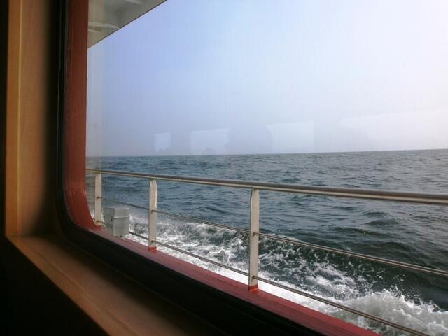 Nach einem Aufenthalt im Fischereihafen schauen wir uns bei einer Schifffahrt die Kreideküste von der Seeseite an.