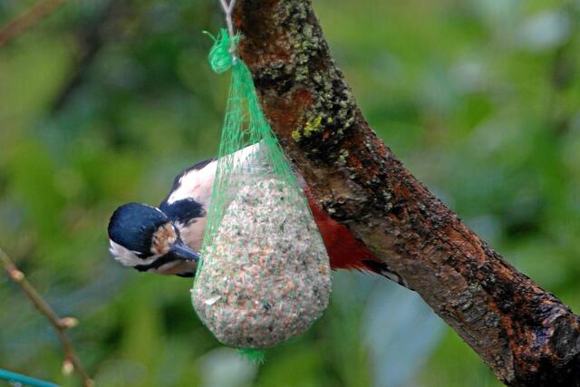 "Da bist du wohl sprachlos? Das packe ich jetzt auch ganz allein!"