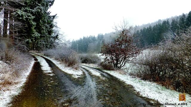 Das Nest des Hasen, links den Weg hoch, haben wir dann trotz Schnee aufgestöbert.
