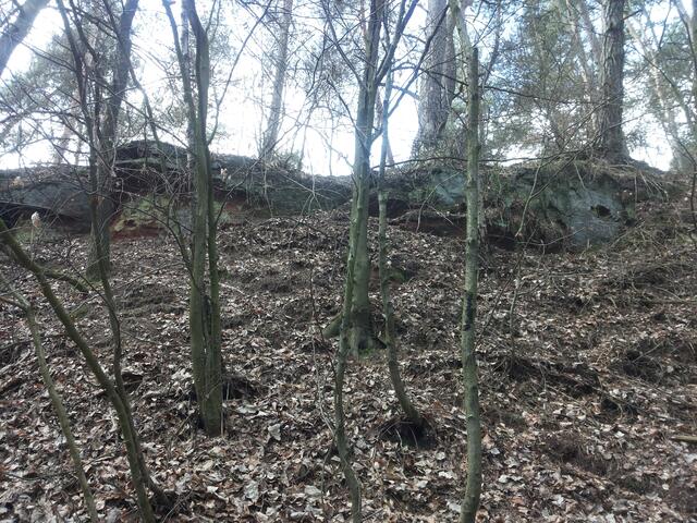 Felsenmeer?