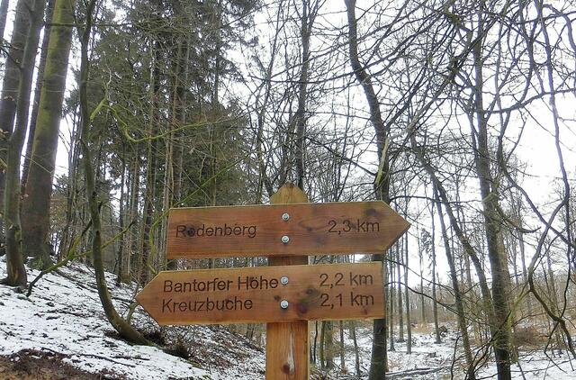 Rückweg in Richtung Bantorfer Höhe