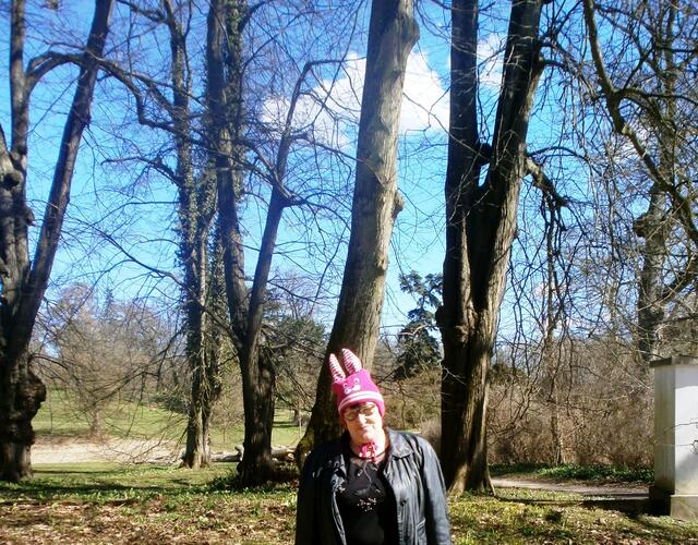 Der Schlosspark ist eingebettet in die umgebene Landschaft und bietet mit seinen Hügeln, welche mit Laubbäumen besetzt sind, seinen weiten Rasenflächen und seinem weitverzweigtes Wegenetz ein Quell der Ruhe und Erholung.