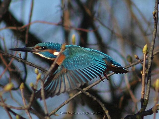 Ich kündige mein Superportrait an