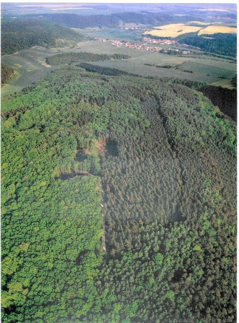 Der Mittelberg am 7.5.2005 !
