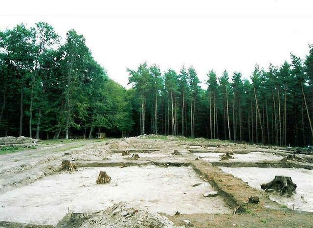 Der Mittelberg am 7.5.2005 !