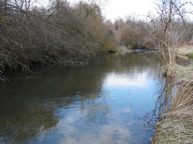 Breite beruhigte Gewässerzone
