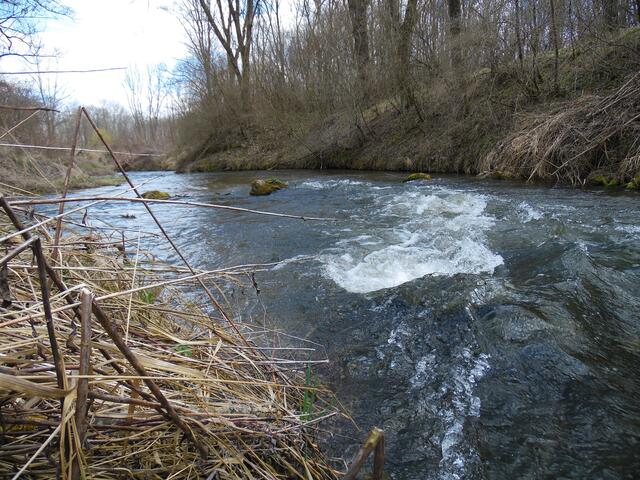 Beengter schnellfließender Abschnitt