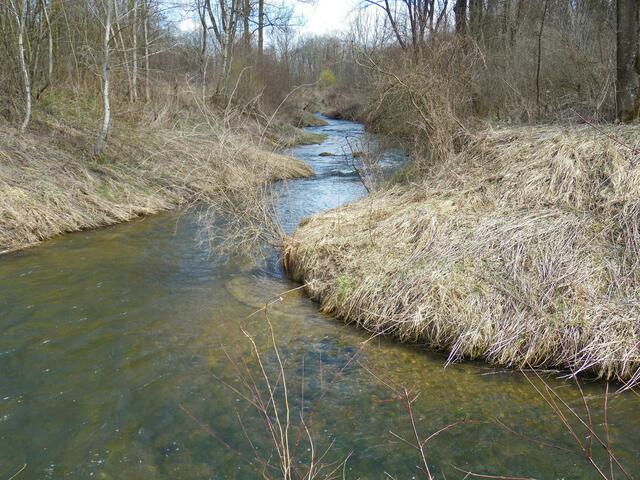 Der Bachlauf kann mäandrieren