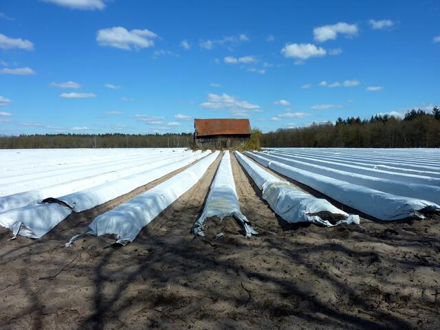 Die Hexenhütte ist einfach nur ein Unterstand im Spargelfeld. Die weißen Abdeckplanen sind der "Schnee".