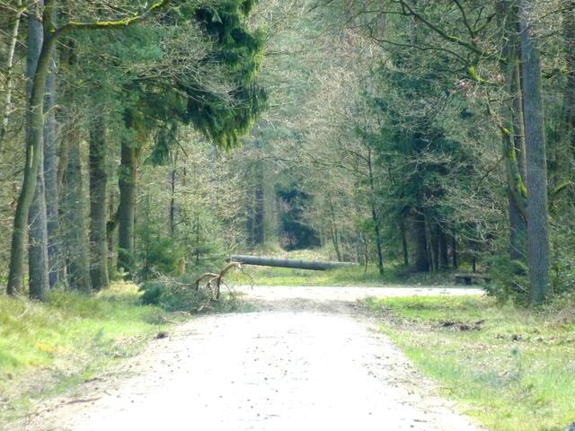Am Ende des Weges tanzt ein riesiges Monster.