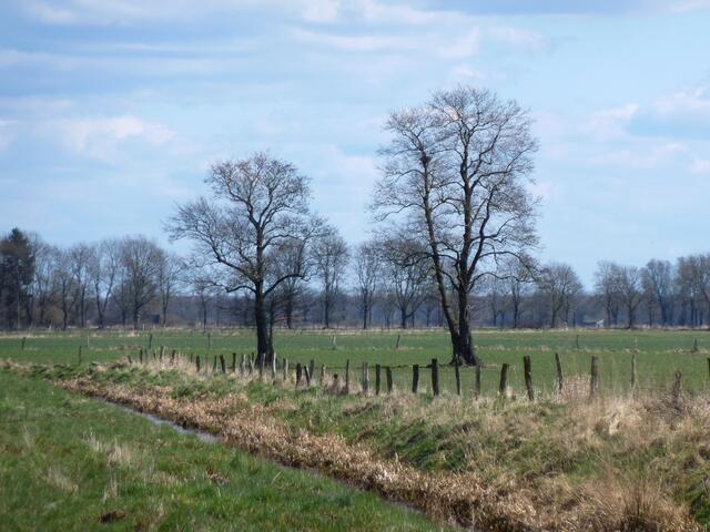 Freundliche Feld- und Wiesenlandschaft am Waldrand