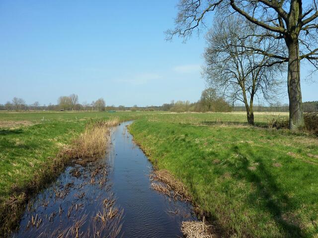 Ein Graben, der in die Wuhlbeck mündet.