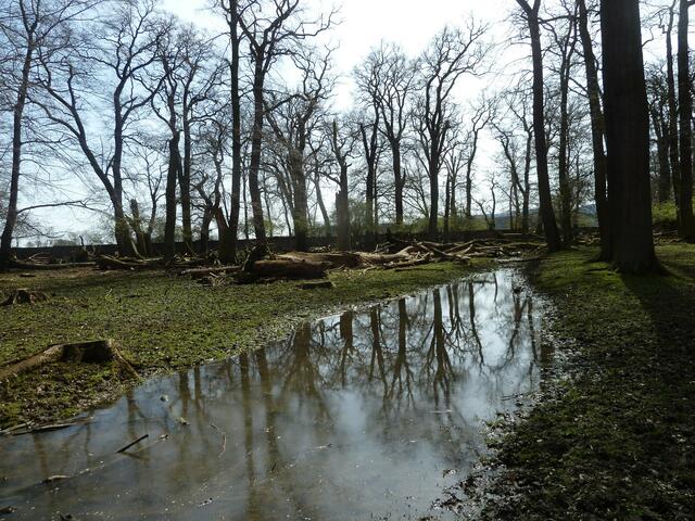 Natürlich angelegter Park.