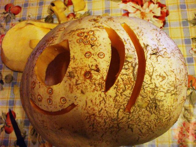Himmelsscheibenkürbis !