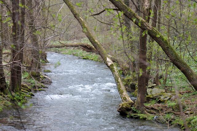 Der Pöhlbach.