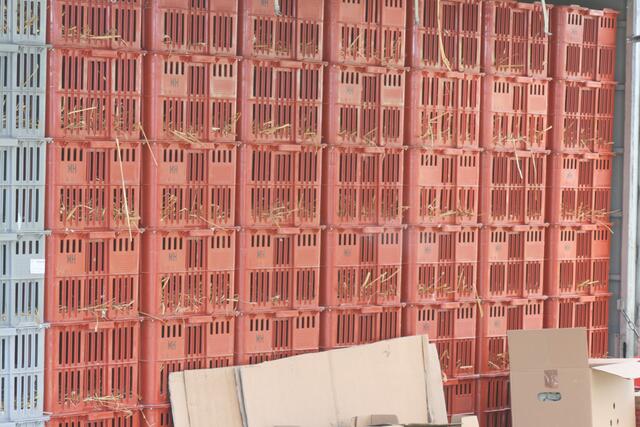 Wieder hinter Gittern.