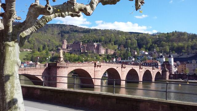 Alte Brücke Heidelberg !
