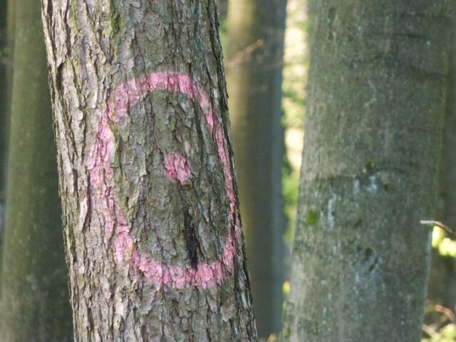 Bild 9: Verschlüsselte Codes.................