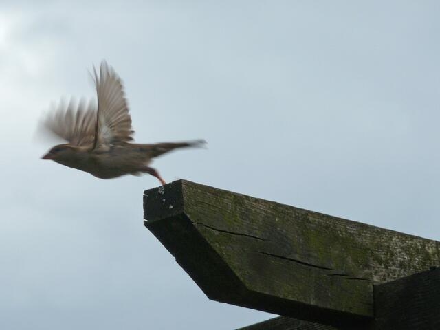 Bisher mein elegantester Abflug!