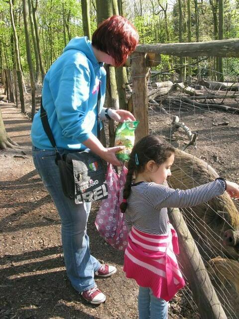 Wildschweingehege im Duisburger Wald