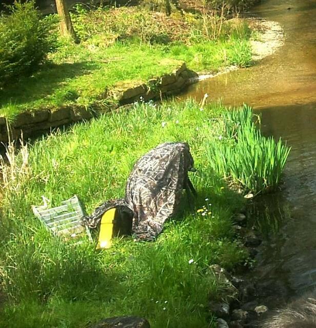 Der niederländische  Ornithologe bei der Arbeit.