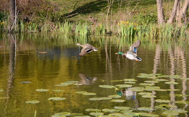 ..im Eingangsbereich