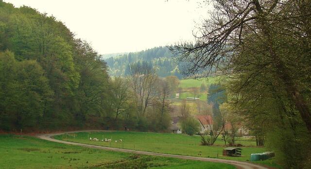 Frebershausen in Sicht