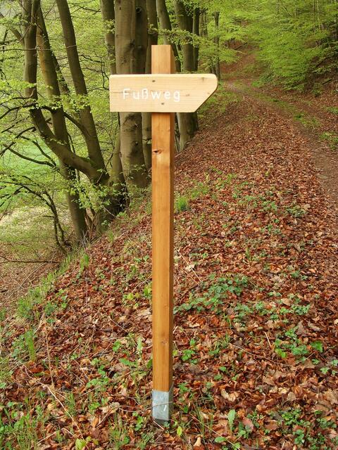Ein Fußweg in die "Irre"! Nach ca. 50 m endet der Pfad an einer Steilwand!