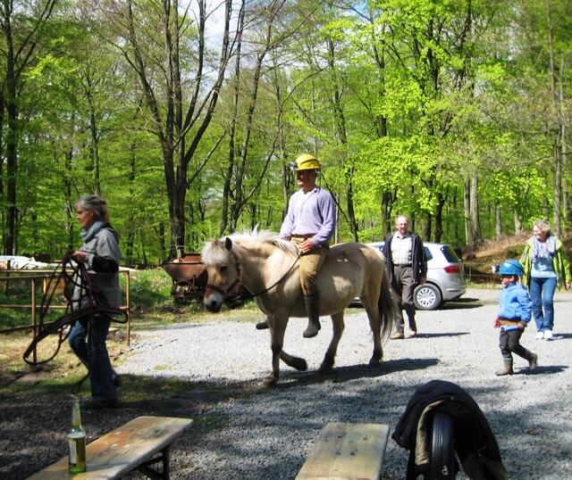 Das Grubenpferd am Deistertag in Feggendorf.