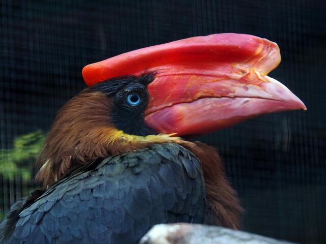 im Weltvogelpark Walsrode