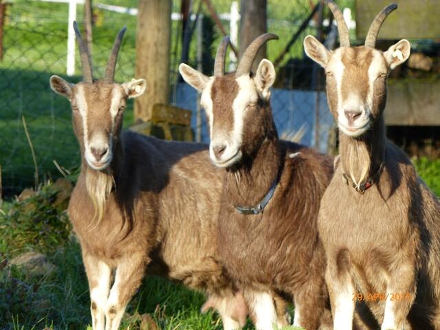 Wer von euch war das - Oder seid ihr es alle zusammen gewesen???