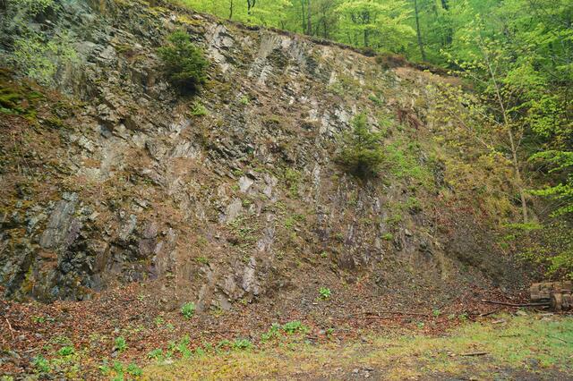 >http://entwicklungsplan.naturpark-kellerwald-edersee.de/best/3-2.htm<                                                                 Felswand am Rande des Rheinischen Schiefergebirges