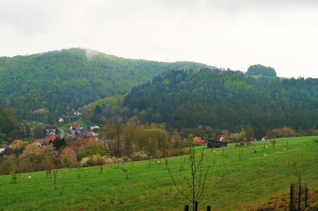 Streuobstwiese