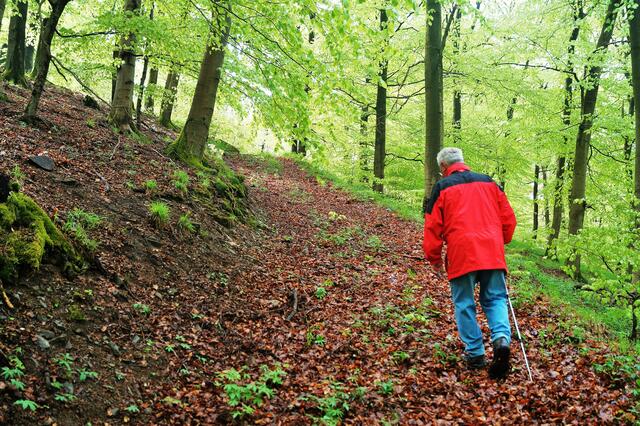 Erst hinab nach Frebershausen und nun hinauf zum Dülfershof