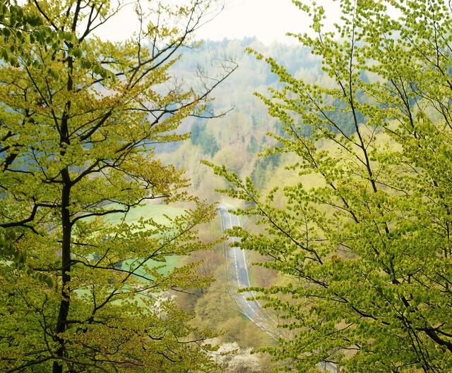 Die Straße nach Frankenau