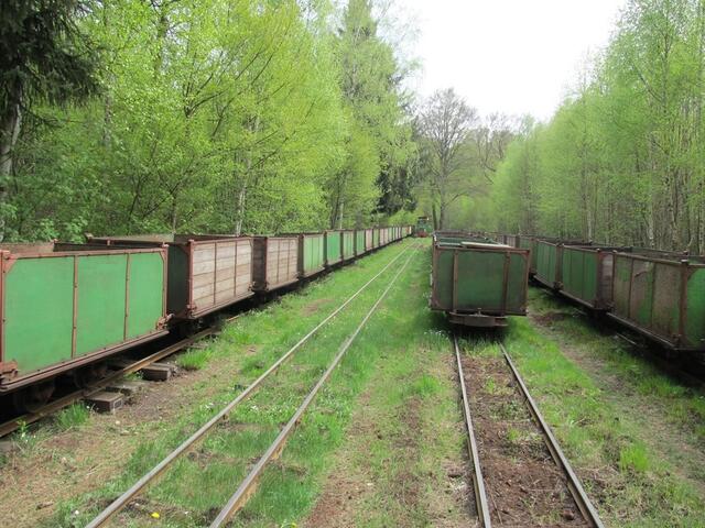 Torfwagen zum Abtransport des Torfes