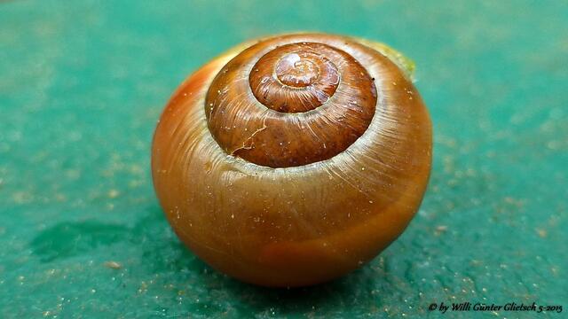 Vorsicht, ist bewohnt!