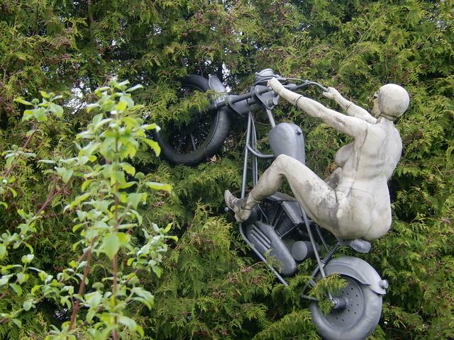 Ab durch die Büsche