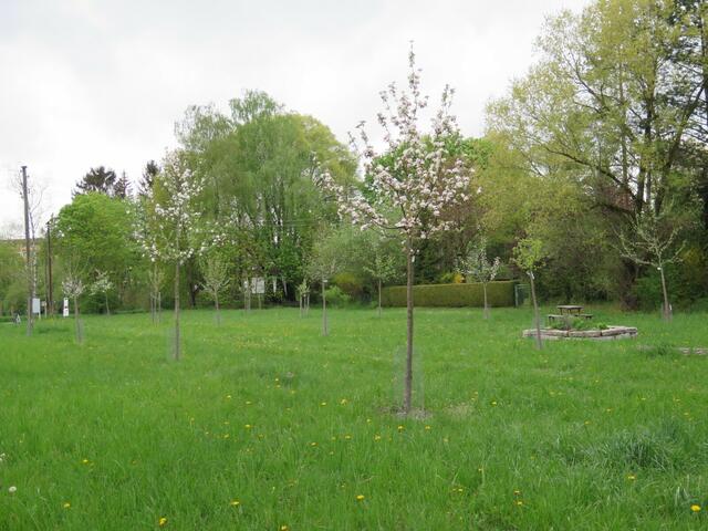Streuobstwiese Neu-Esting seit 2009 AGENDA 21 Olching