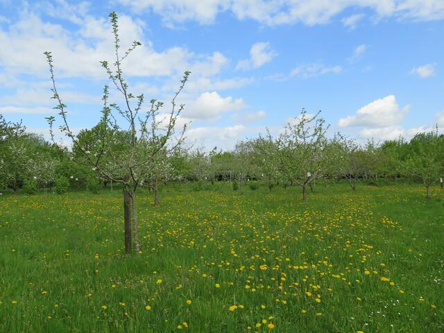 Kreislehrgarten Adelshofen