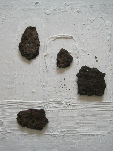 hunderthoyer Teneriffa Rost 2015