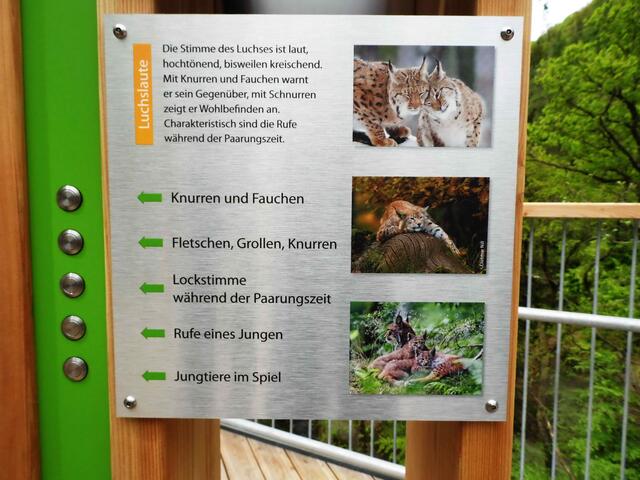 Man kann Hören, Riechen und Sehen.