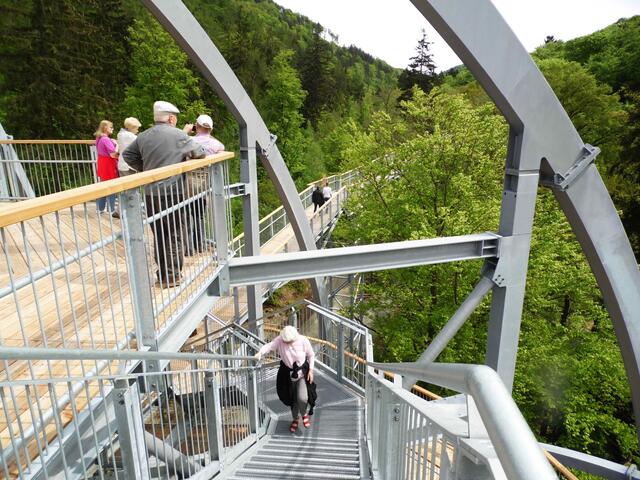 Der Blick wird frei und geht über die Baumkronen.