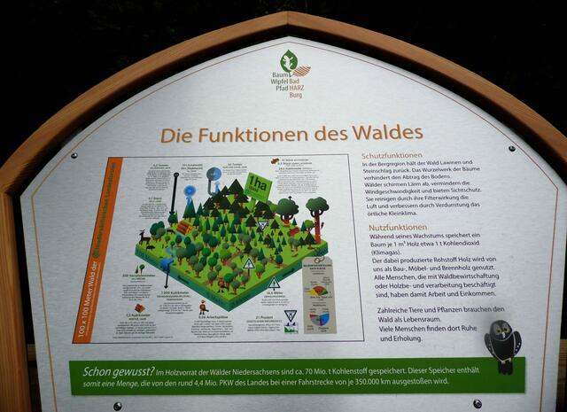 Und natürlich wissen wir alle, wie wichtig der Wald für uns ist. Genaueres wird hier erläutert.