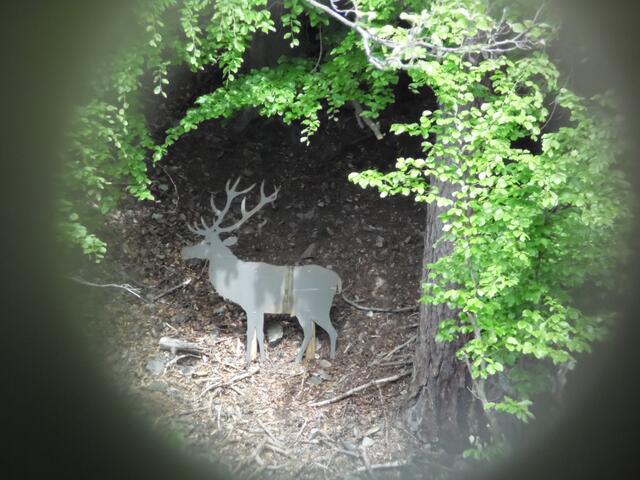 Ab und zu kann man durch ein "Fernrohr" gucken. Und ohne dieses bewegen zu müssen, hat man Erfolg. Die Tiere stehen immer parat.