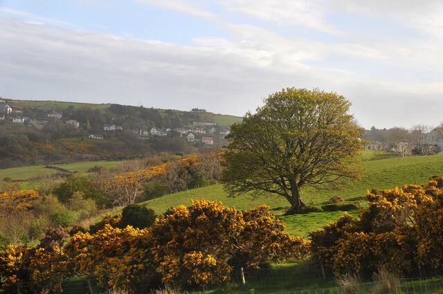 Landschaft auf der Isle of Man.